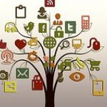 Ekologia w sieci internetowej