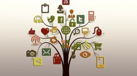 Ekologia w sieci internetowej