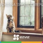 Zapewnij bezpieczeństwo swojemu futrzakowi