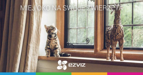 Zapewnij bezpieczeństwo swojemu futrzakowi