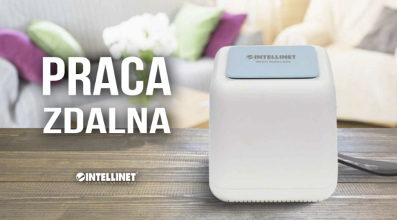 Łatwa praca zdalna z Intellinet